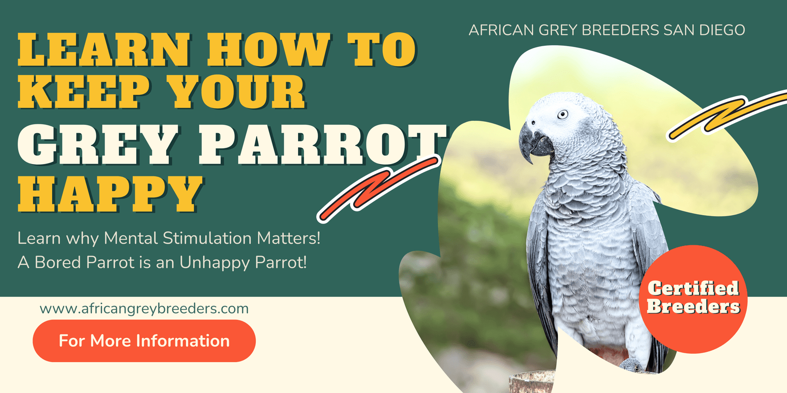 How To Keep Your African Grey Happy: The Importance of Mental Stimulation